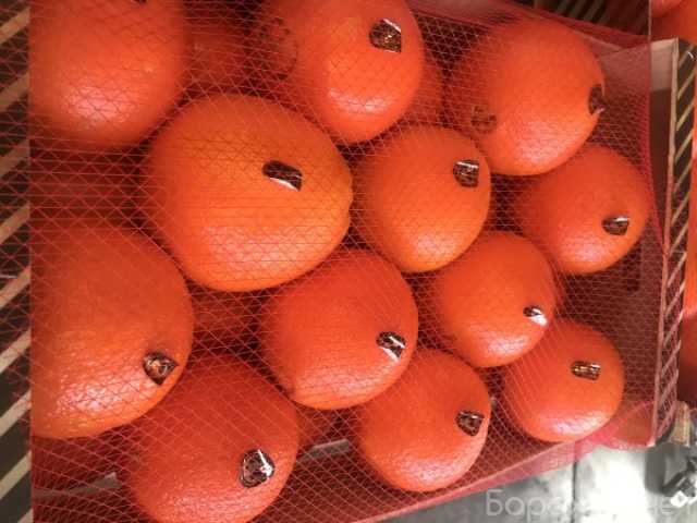 Продам: Апельсин