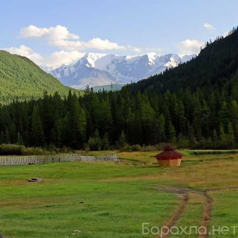 Предложение: Путешествие на Алтай