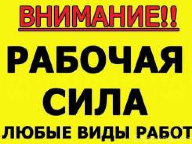 Предложение: Услуги разнорабочих в Мытищах