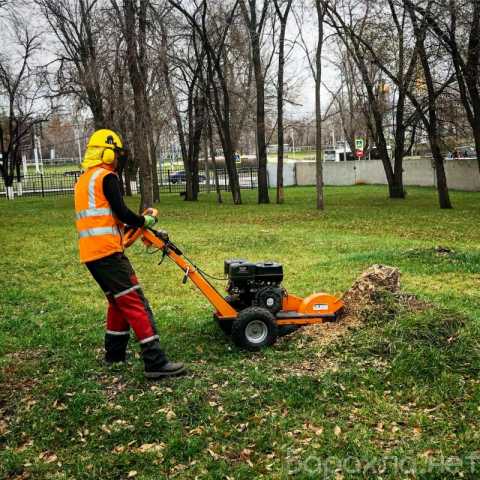 Предложение: Фрезерование (дробление) и корчевание пн