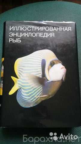Продам: Энциклопедия рыб