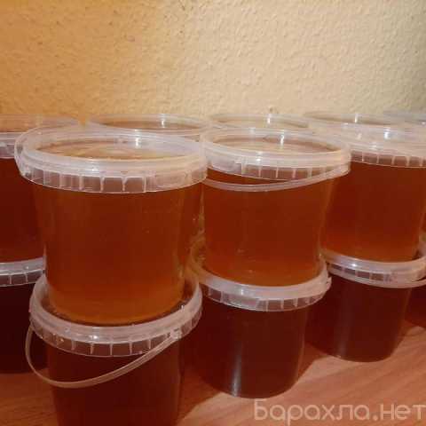 Продам: Мед с личных пасек Алтайский