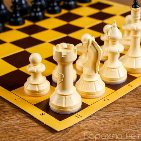 Предложение: Тренер по шахматам
