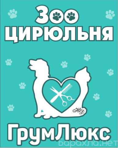 Предложение: Стрижка собак и кошек в Москве