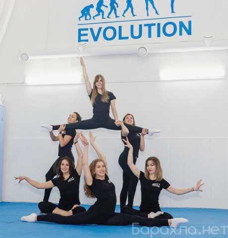 Предложение: Шоу воздушных гимнастов