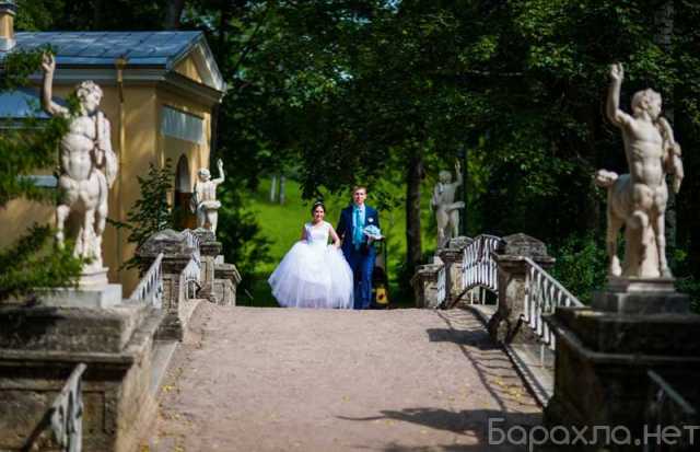 Предложение: Свадебный фотограф в СПб