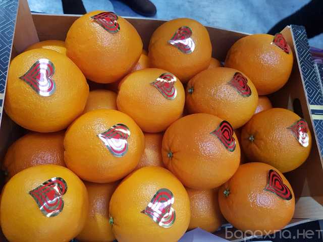 Продам: апельсины