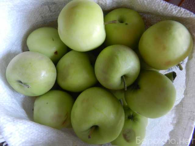 Продам: Яблоки сибирские