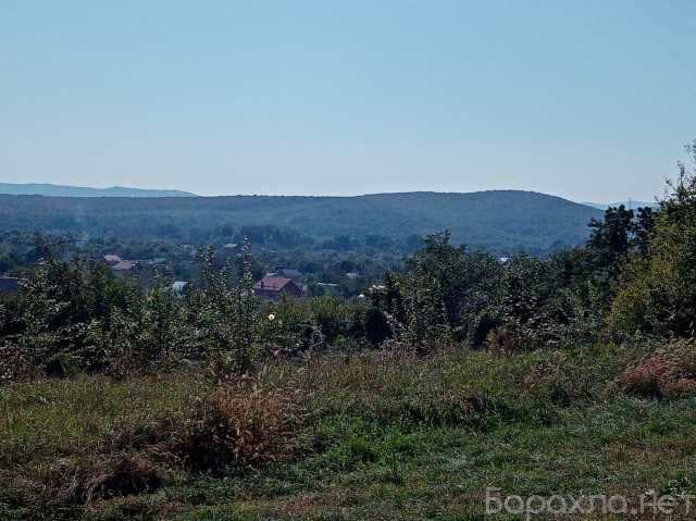 Погода ст смоленская краснодарский край на 10. Станица Смоленская Краснодарский край. Смоленская Северский район. Станица Смоленская Краснодарский край лес. Смоленская Краснодарский край парк.