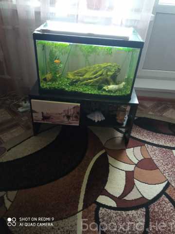 Продам: аквариум 90 литров