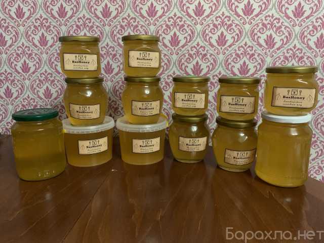 Продам: Башкирский мёд
