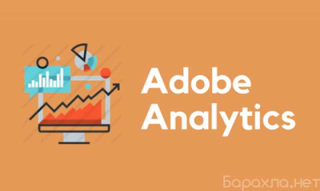 Предложение: Adobe Analytics Training