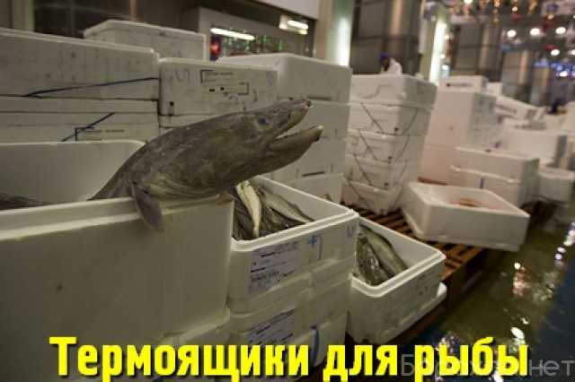 Продам: Термоящики для рыбы