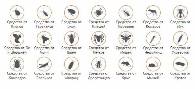 Продам: Средства от насекомых и грызунов