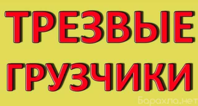 Предложение: Грузчики в Находке