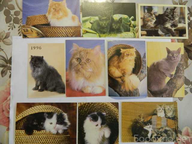 Продам: Календарики 10 шт Кошки