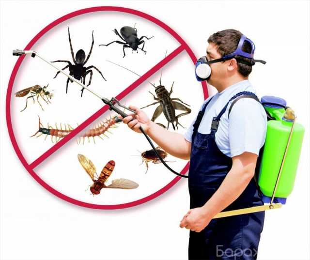Продам: Товары для борьбы с насекомыми