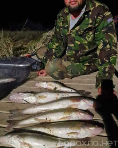 Предложение: Рыбалка в Астрахани