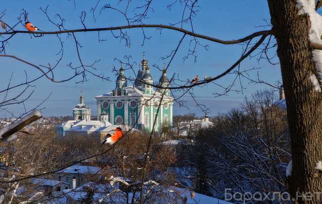 Предложение: Экскурсии по Смоленску на Новый год