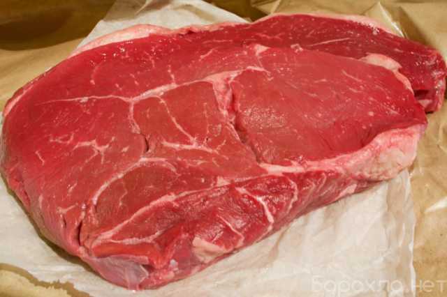 Продам: Продам мясо говядины