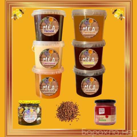 Продам: Алтайский мёд, перга