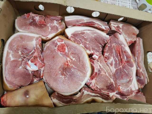 Продам: Свежее мясо с доставкой на дом