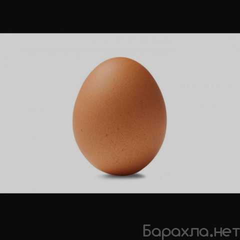 Продам: Яйцо куриное с2, с3