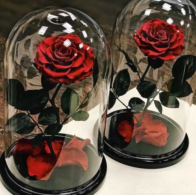 Продам: Розы в колбе