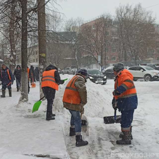 Предложение: Уборка снега в Москве и области