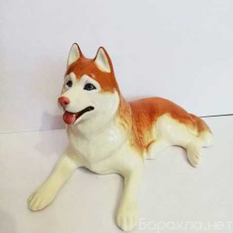Продам: статуэтка собака хаски