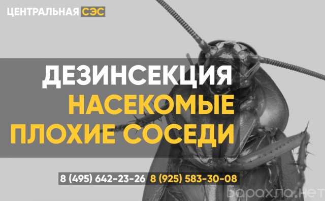 Предложение: Уничтожение насекомых Воскресенск