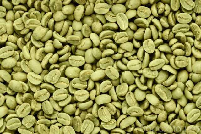 Продам: кофе в зернах зеленый