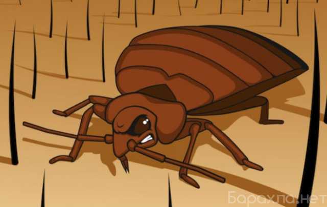 Предложение: Уничтожение тараканов в Селятино