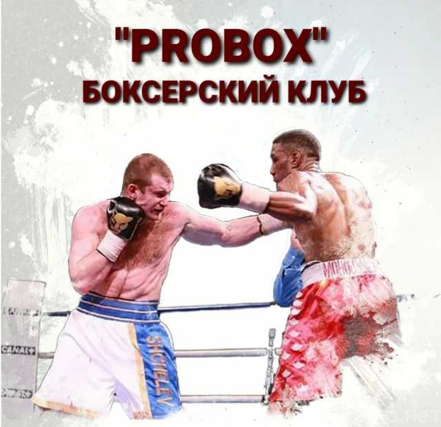 Предложение: Боксерский клуб PROBOX ТРЕНИРОВКИ