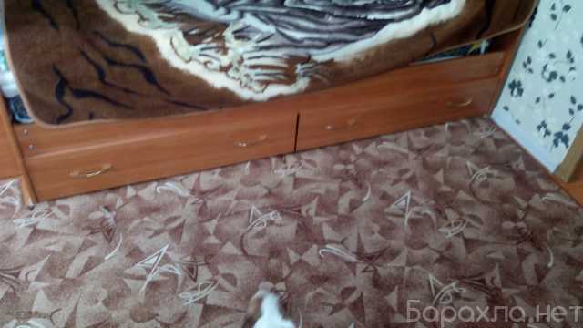 Продам: Двухъярусная кровать с матрасами