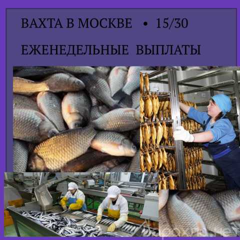 Вакансия: Обработчик рыбы на вахту в Москв