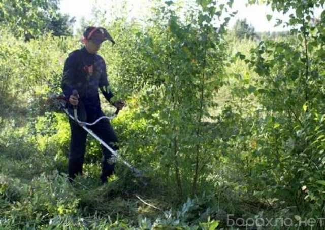 Предложение: Благоустройство