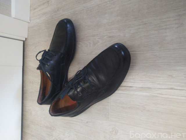 Продам: Туфли мужские Picolinos 44 размер