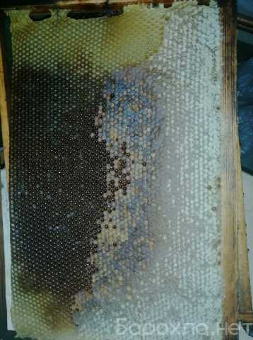 Продам: сушь для пчел рамки