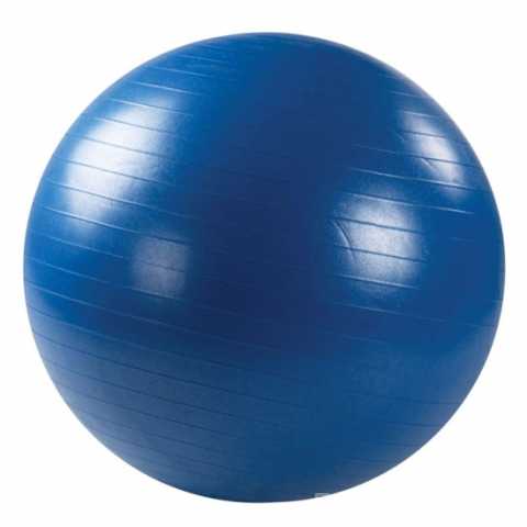 Продам: Мяч гимнастический d=55 см, цвета МИКС
