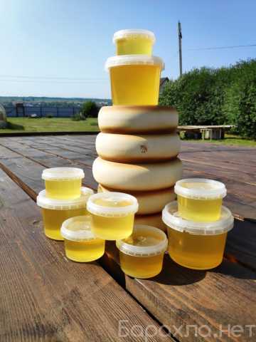 Продам: Башкирский липовый мёд со своей пасеки