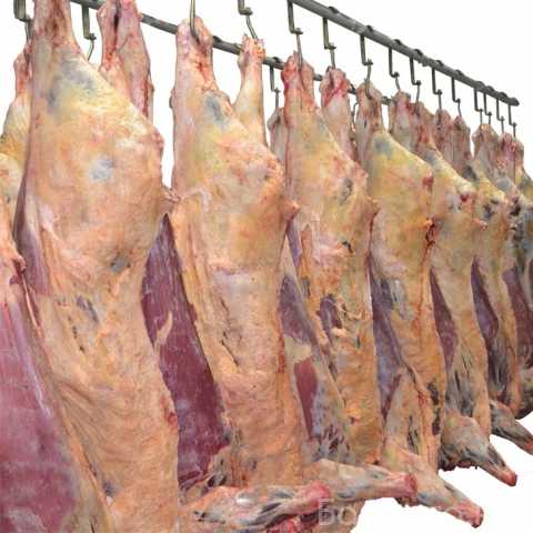 Продам: Мясо и мясопродукты торговля