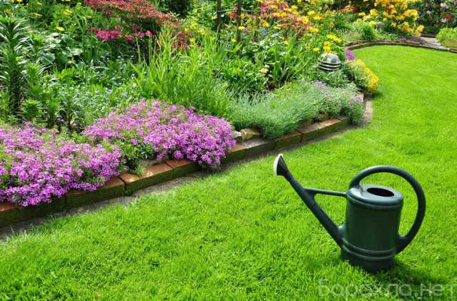 Предложение: Профессиональный уход за вашим садом