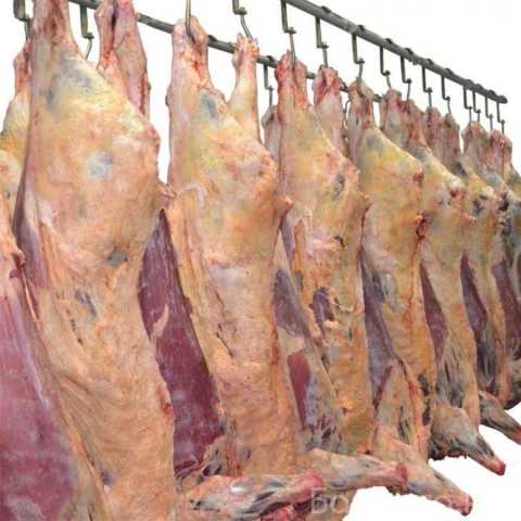 Продам: Мясо свинина, говядина, цыпленка бройлера собственного производства