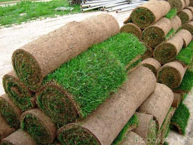 Продам: рулонный газон в Туле