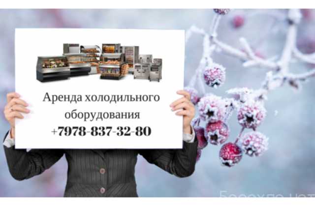 Предложение: Аренда холодильных витрин в Севастополе