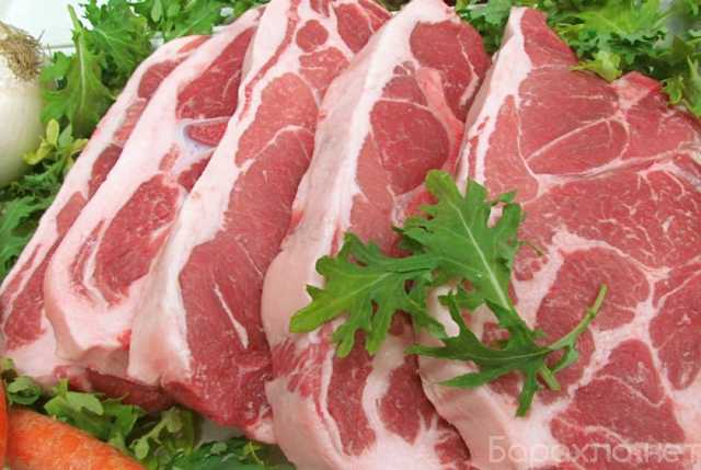 Продам: мясо свинины
