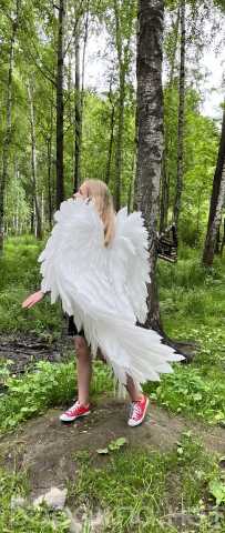Продам: Крылья ангела для фотосессии!