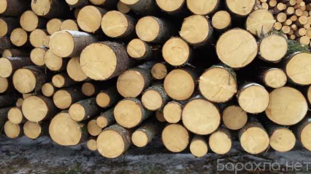 Продам: Пиловочник, кругляк, лес, древесина