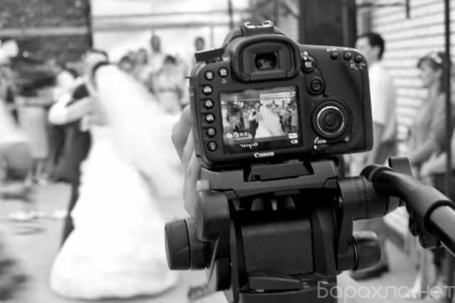 Предложение: Фотограф для Вашей свадьбы